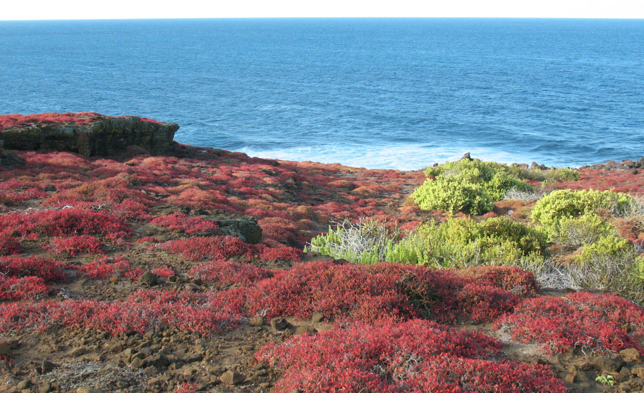 La-Gatta-Destinations-Galapagos